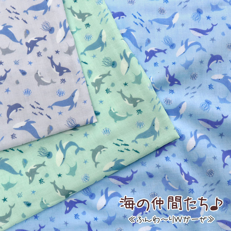 海の仲間たち♪≪ふん