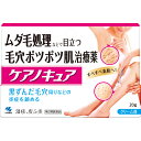 【第2類医薬品】小林製薬 ケアノキュア 20g