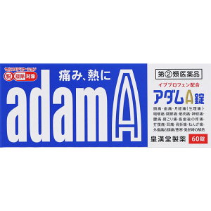 【第(2)類医薬品】皇漢堂製薬 アダムA錠 60錠