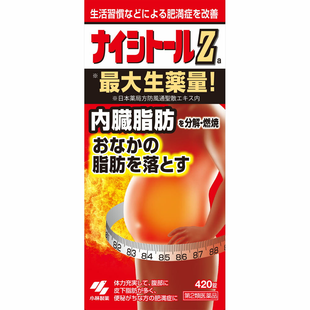 【第2類医薬品】小林製薬 ナイシトールZ 420錠【point】