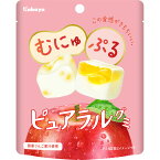 カバヤ食品 ピュアラルグミ りんご 58g