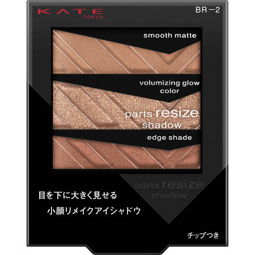 カネボウ化粧品 ケイト パーツリサイズシャドウ BR−2 2.4g