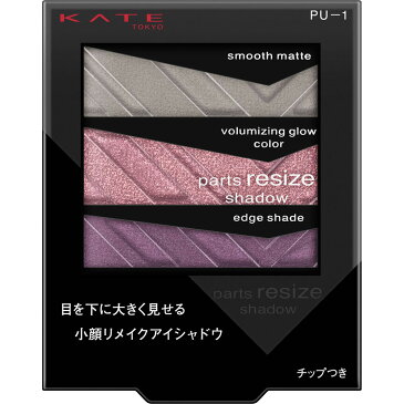 カネボウ化粧品 ケイト パーツリサイズシャドウ PU−1 2.4g