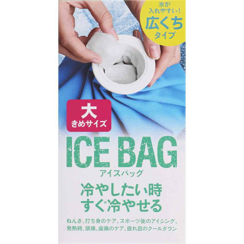 東京企画販売 アイスバッグ 大 1000ml