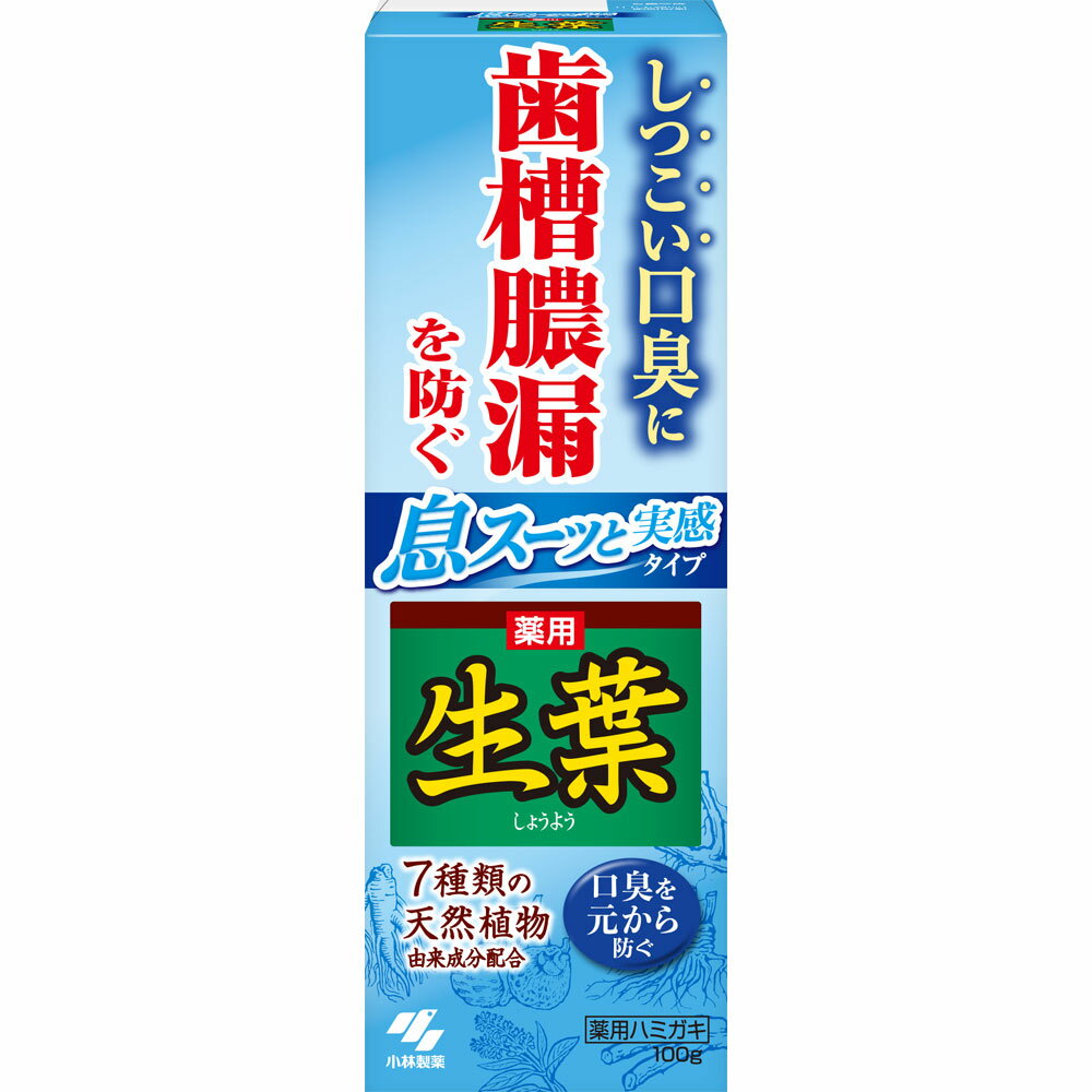 小林製薬 生葉I　息スーッと実感 100g （医薬部外品）のサムネイル
