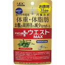メタボリック メタプラス ウエストマックス 93粒
