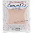 井田ラボラトリーズ キャンメイク マイトーンクチュール GT 01 _