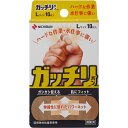 ニチバン ガッチリバンLサイズ 10枚