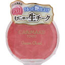 井田ラボラトリーズ キャンメイク クリームチーク P01 _