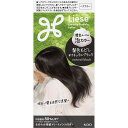 花王 リーゼ 泡カラー 髪色もどし ナチュラルブラック 115mL (医薬部外品)