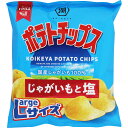 湖池屋 Largeサイズ ポテトチップス じゃがいもと塩 122g