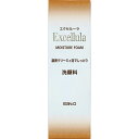 佐藤製薬 エクセルーラ EXモイスチュアフォーム 120g【point】