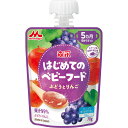森永乳業 はじめてのベビーフード ぶどうとりんご 70g