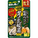 井藤漢方製薬 しじみの入った牡蠣ウコン胃の乳酸菌 90粒