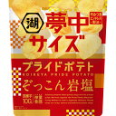 湖池屋 夢中サイズプライドポテト ぞっこん岩塩 102g