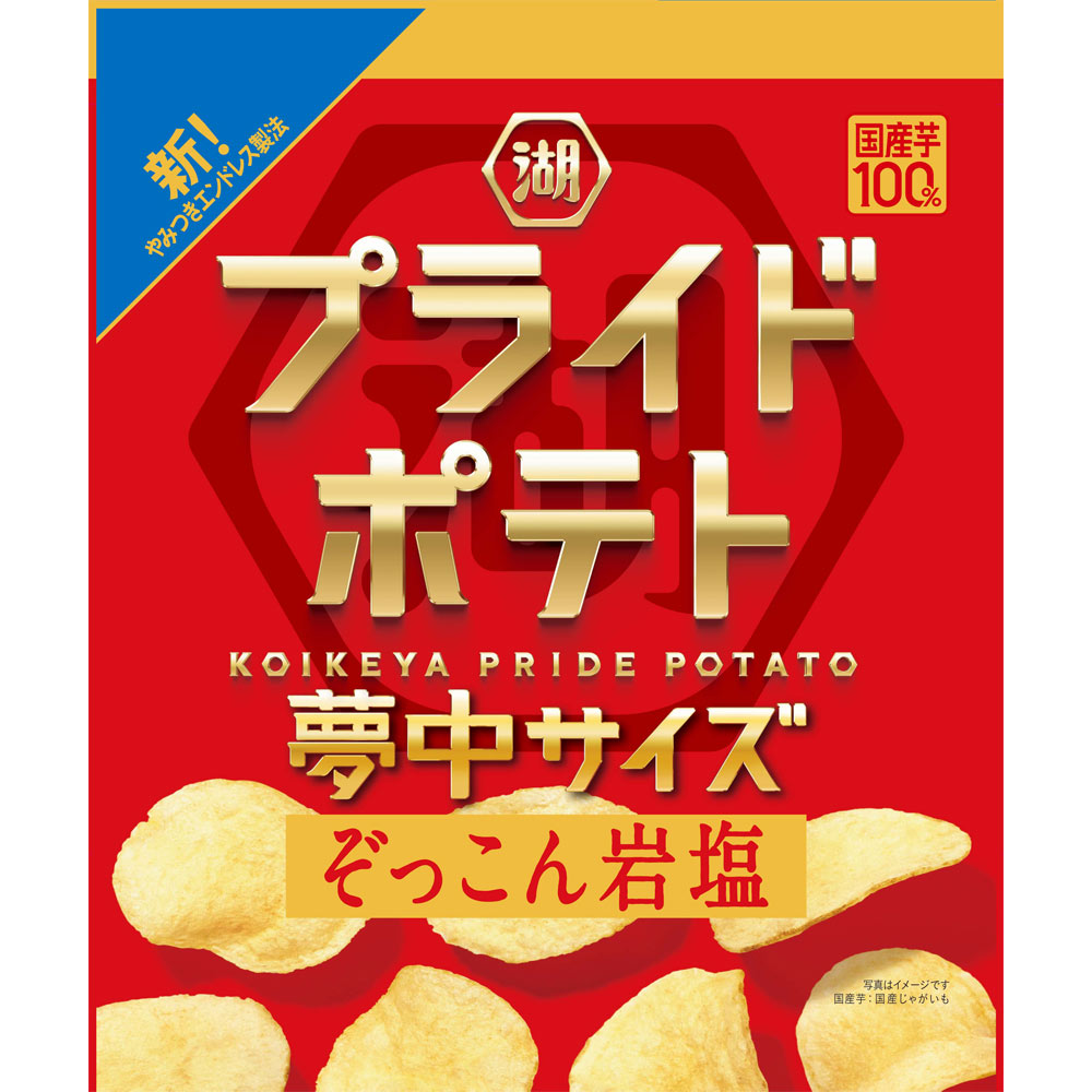 湖池屋 夢中サイズプライドポテト ぞっこん岩塩 102g