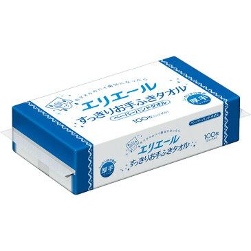 大王製紙 エリエール すっきりお手拭きタオル 100枚