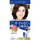 ダリヤ サロン ド プロ 無香料ヘアカラー 早染めクリーム（白髪用） 6 ダークブラウン 40g＋40g （医薬部外品）