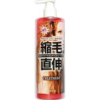 ネサンス マニス　ストレートヘアトリートメント 450ml