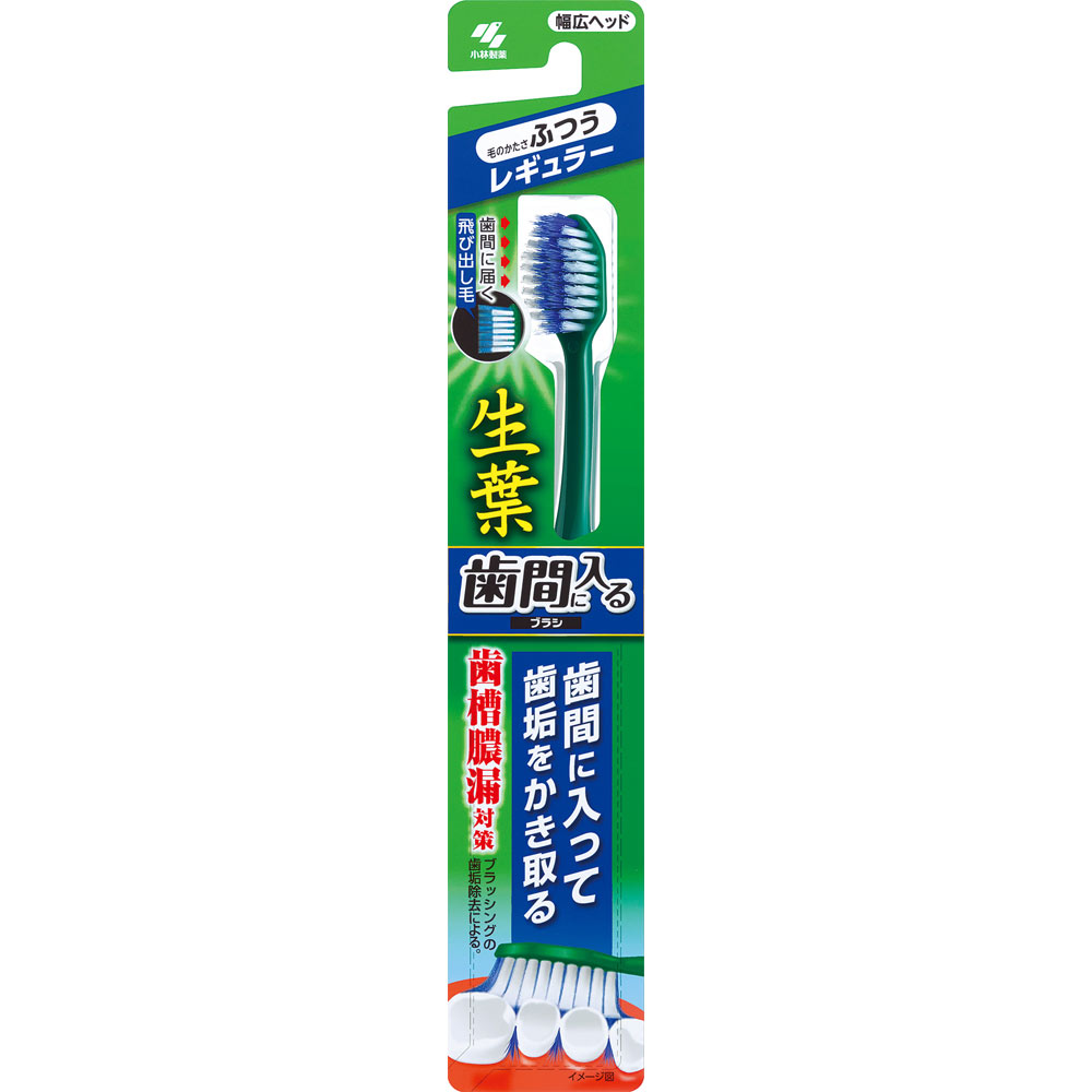 小林製薬 生葉歯間に入るブラシ レ