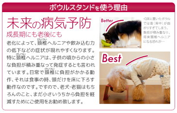 【大型犬専用】【ちょっと高いけどずっと使えるアワーズのフードボウルテーブル】 ★Lサイズ ステンレスタイプ★【犬/用/食器/台/フードボウル/食器台/スタンド/テーブル/清潔/かわいい/おしゃれ/誕生日/プレゼント/スタイリッシュ/アワーズ】