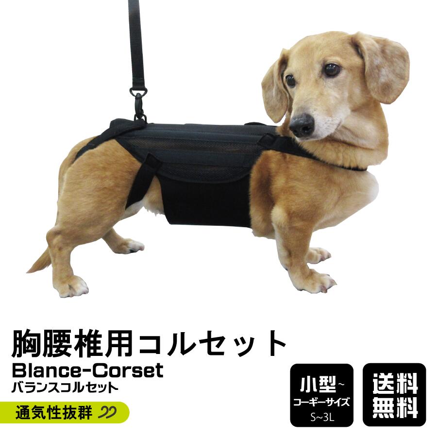 バランスコルセット　アニマルオルソジャパン　メッシュ　ダックス　小型犬　リード付　犬用　介助　送料無 ...