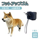 フットアップゴム　中型犬用　後肢専用