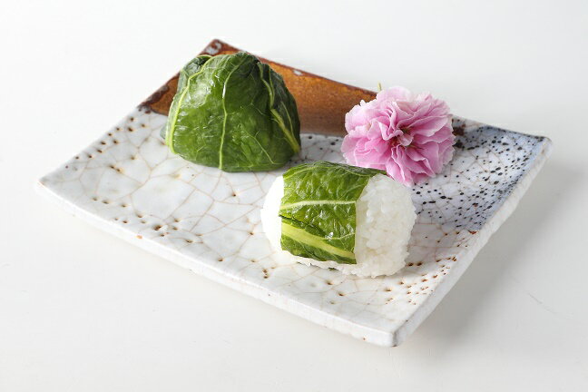 ������������Ĺ�ڡʤ����ʡ��Ҥ� 2.5kg���ͤ��碌������̵�����̳�ƻ/����/����/Υ�������ˡ����ˤ�����Ϥ��������