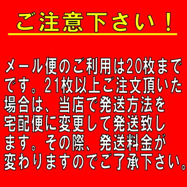 カードケース A5 硬質 20枚入り (ハードカードケース 硬質カードケース A5ケース)