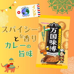 おつまみに♪【万国味博キーマカレー風味】インド キーマカレー カレー カレースナック おやつ つまみ お菓子 クラッカー ピリ辛 30g×12袋入