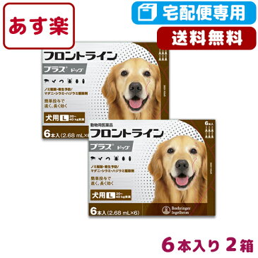 【B】【最大1,000円OFFクーポン】【送料無料】フロントラインプラス犬用 L（20〜40kg）　1箱6本入2箱セット【動物用医薬品】【宅配便】【ノミ・ダニ・シラミ駆除】【あす楽対応】【5/10(日)12：00〜5/16(土)1：59】