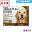 【B】【最大450円OFFクーポン】フロントラインプラス犬用 L(20〜40kg) 1箱6本入【動物用医薬品】【宅配便】【ノミ・ダニ・シラミ駆除】【12/1(火)0:00〜12/7(月)9:59】