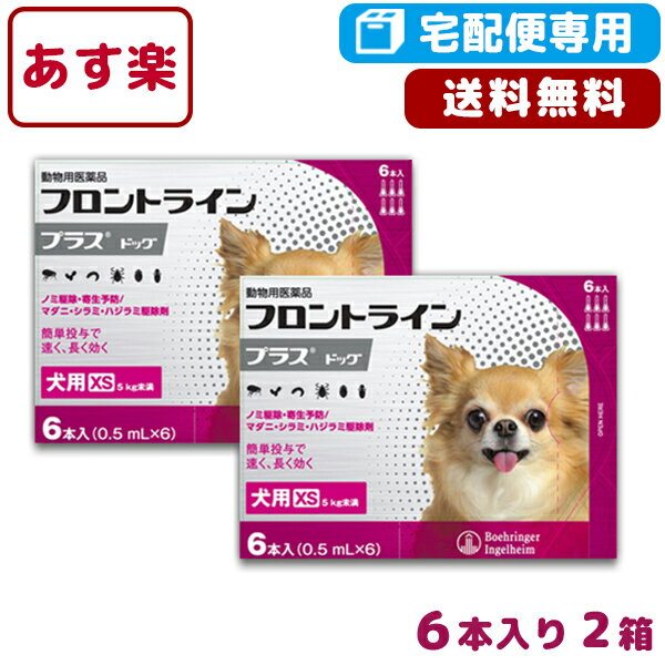 【B】【送料無料】フロントラインプラス犬用 XS（5kg未満） 6本入 2箱セット【動物用医薬品】【宅配便】【ノミ・ダニ・シラミ駆除】【あす楽対応】