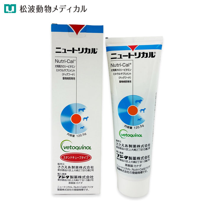 《お買い物マラソン》犬用 ニュー�