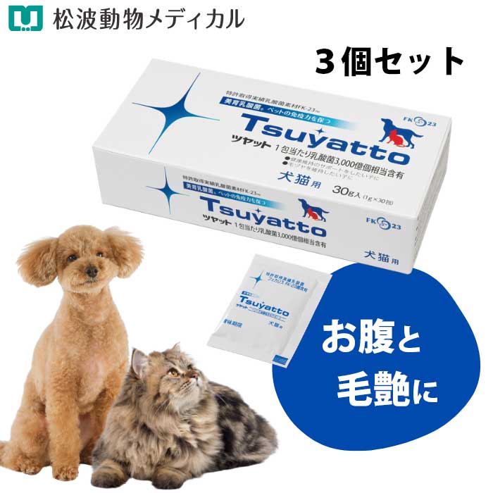 【セット割☆3個セット】+【ポイン�