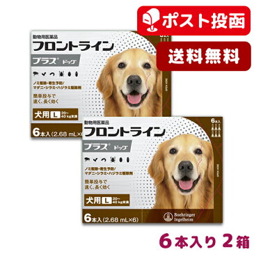 【A】【最大1,000円OFFクーポン】【送料無料】フロントラインプラス犬用 L（20〜40kg）　1箱6本入2箱セット【動物用医薬品】【ノミ・ダニ・シラミ駆除】【5/10(日)12：00〜5/16(土)1：59】