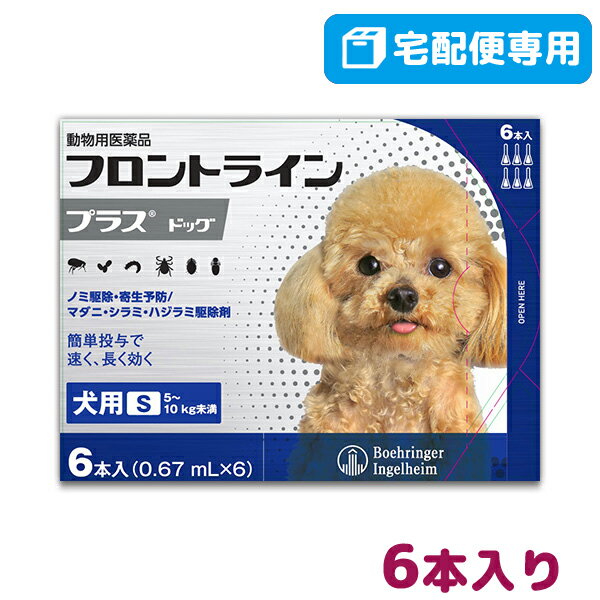 【B】【最大350円OFFクーポン】フロントラインプラス犬用 S（5〜10kg）　1箱6本入【動物用医薬品】【宅配便】【ノミ・ダニ・シラミ駆除】【8/12(金)10:00〜8/23(火)9:59】