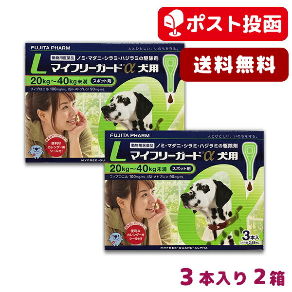 【A】マイフリーガードα 犬用 L (20-40kg未満) 3本入 2箱セット【送料無料】【動物用医薬品】(mfg0201)