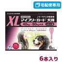 【B】【最大400円OFFクーポン】【動物用医薬品】マイフリーガード犬用XL（40～60kg未満）4.02mL×6個ピペット(mfg0201)【5/1(水)0:00～5..