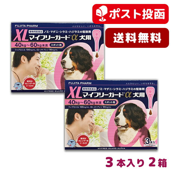 【A】マイフリーガードα 犬用 XL (40-60kg未満) 3本入 2箱セット【送料無料】【動物用医薬品】(mfg0201)