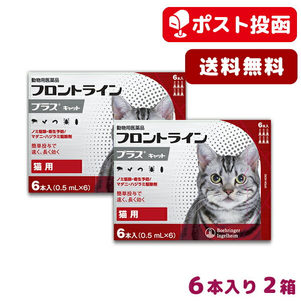 【A】【送料無料】フロントラインプラス猫用　1箱6本入　2箱セット【動物用医薬品】【ノミ・ダニ・ハジラミ駆除】