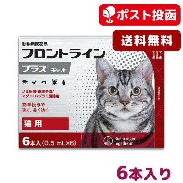 【A】【最大350円OFFクーポン】【送料無料】フロントラインプラス猫用　1箱6本入【動物用医薬品】【ノミ・ダニ・ハジラミ駆除】【10/12(月)10：00〜10/19(月)9：59】