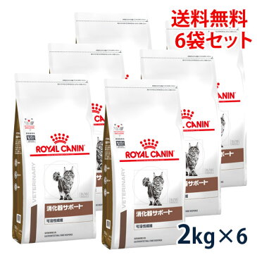 【C】【最大400円OFFクーポン】ロイヤルカナン猫用　消化器サポート（可溶性繊維）　2Kg（6袋セット）【9/1(木)0:00〜9/6(火)9:59】