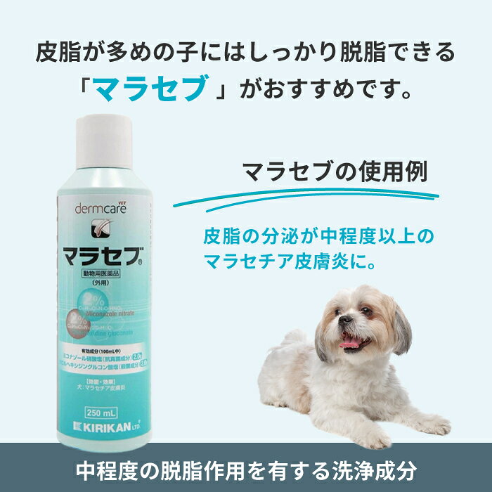 松波動物メディカル通信販売部の【動物用医薬品】マラセブ 250ml×2本セット　[犬用]　マラセチア皮膚炎外皮用剤 ≪薬用シャンプー≫｜アングル2