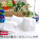 楽天1位★ガーゼ ミニ ハンカチ マスクの当て布 15×15cm 3枚/縁3色 日本製 綿100% ベビー 木綿 ハンカチ★松並木 無添加 98本 ガーゼ 3重★肌に当てるだけで0秒吸水 化粧直し◎ 敏感肌 アトピー fabric エコテックス認証 オーガニック 超え プチギフト 内祝い KIDS