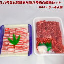 牛ハラミと和豚もちぶたバラ肉の焼肉セット 送料無料 3,4人前 柔らかい 美味しい