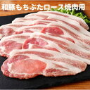 和豚もちぶたロース 焼肉用 250g×2P クリスマスパーティー用 生姜焼き しょうが焼 焼きしゃぶ すき焼き用 BBQ あみ焼き 豚丼用 ミルフィーユかつ用 野菜炒め用 贈り物 プレゼント