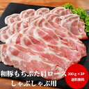 【送料無料】栃木県産和豚もちぶた味噌漬け｜母の日 父の日 春ギフト 2024 豚肉 味噌漬け みそ漬け ミソ漬け おかず 一品 おつまみ つまみ 国産 栃木県産 栃木産 お取り寄せ