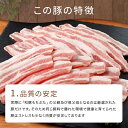 和豚もちぶたバラ焼肉用300g　サムギョプサル 3