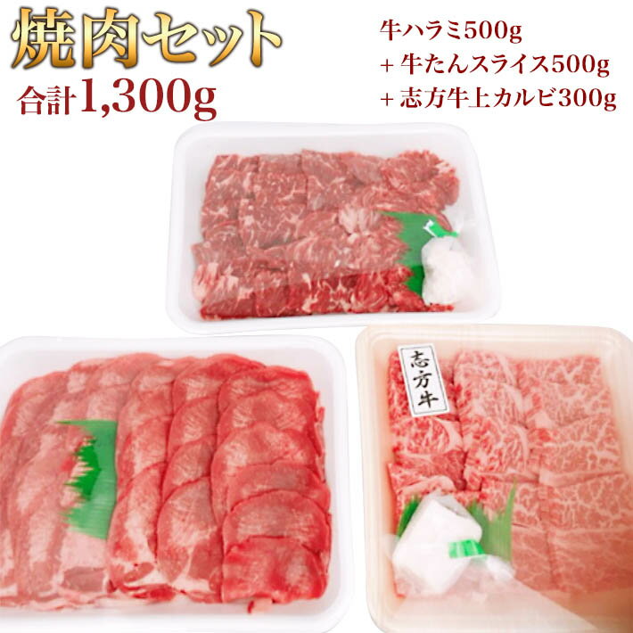 牛タン 塩タン 薄切り 4kg 焼き肉 バーベキュー 食材 BBQ 肉 焼肉セット 牛カルビ 牛バラ 牛ハラミ 豚バラ 豚カルビ 豚トロ バーベキュー 肉 BBQ食材セット BBQ 食材 焼肉 豚肉 牛丼 牛肉 送料無料 12〜15人前